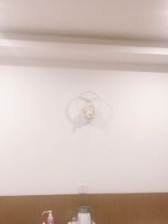 -丽复产后康复萧山旗舰中心