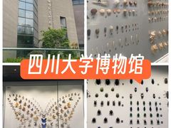 -四川大学博物馆