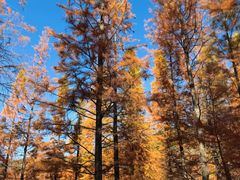 -名花谷生态庄园