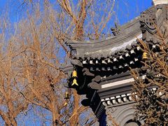 -哈尔滨极乐寺