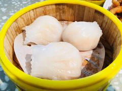 -金香匯晚茶(浑南店)
