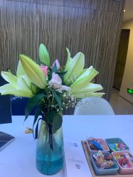 -比华利美容医院