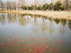 -东郊湿地公园