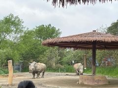 -宁波野生动物园