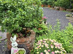 -谷咖啡·鲜花绿植花园餐厅