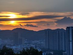 -福道