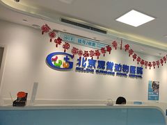 -北京观赏动物医院·24小时大型综合·猫专科·异宠专科