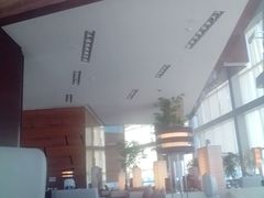 -君悦酒店·大堂酒吧·高空下午茶·暮色微醺
