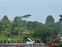 -铁山坪森林公园