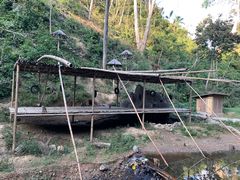 -西双版纳原始森林公园
