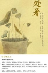 -MIDA蜜哒•科技逆龄美肤连锁