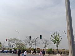 -南汇嘴观海公园