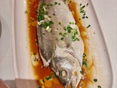 广式葱油海鲈鱼-醉辉皇原味海鲜江南菜(成都大魔方店)