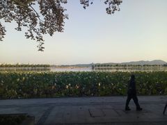 -咬不得高祖生煎·简餐(高银街店)