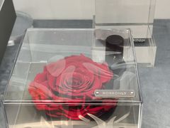 -ROSEONLY诺誓(广州K11店)