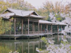 -西湖外事游船(花港观鱼码头)