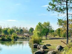 -庐山风景区花径公园