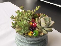 -花言草语鲜花店(灵山路店)