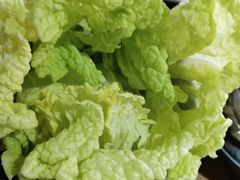 白菜-捞围鲜·港式打边炉(海阳路店)