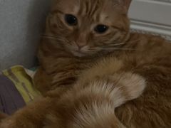 -新荟城(望京店)