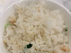 -饭怕鱼(阳光100店)