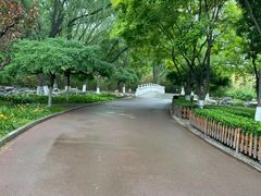-莲花池公园