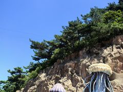 -棒棰岛宾馆景区