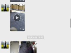 -波姐宠物家庭寄养