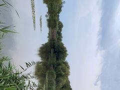 -呈贡滇池生态湿地公园