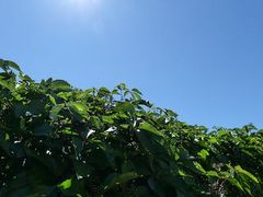 -维乐口腔医院(星海湾分院)