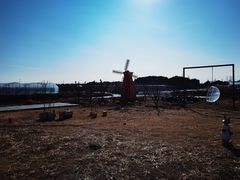 -美家乐农庄·露营·团建(大治路店)