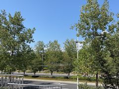 -宝荣鱼馆·临湖之宴(千岛湖店)