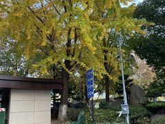 -浙江大学医学院附属第一医院(庆春院区)