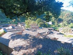 -杨家堂村