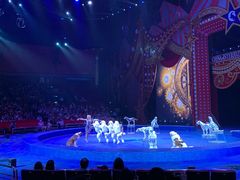 -珠海横琴长隆《卡卡虎奇遇记》