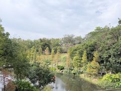 -云溪植物园