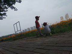 -丁香湖公园