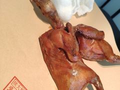 -鸽子侯·家宴·平价海鲜(市图书馆店)
