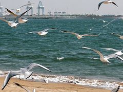-老虎石海上公园