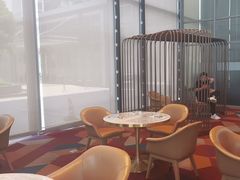 -奔驰上海利星(七宝店)