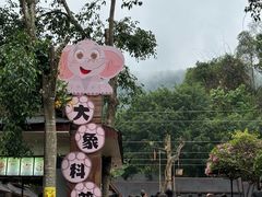 -野象谷景区