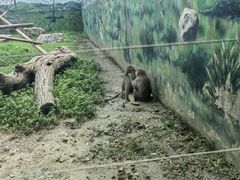 -成都动物园
