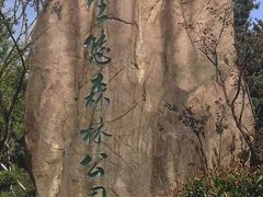 -昆山城市生态森林公园