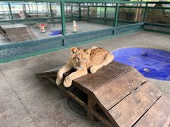 -秦皇岛野生动物园
