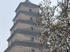 -大慈恩寺(大雁塔)