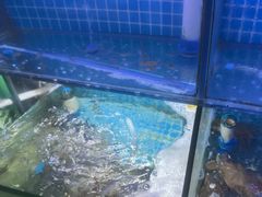 -面道赞宁海海鲜面(迎凤街店)