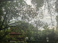 -房湖公园