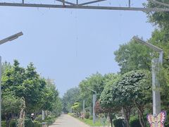 -南宫五洲植物乐园