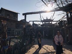 -呀路古热带植物园