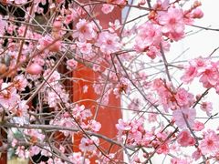 -堤角公园